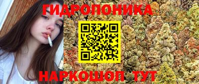 дурь Ипатово