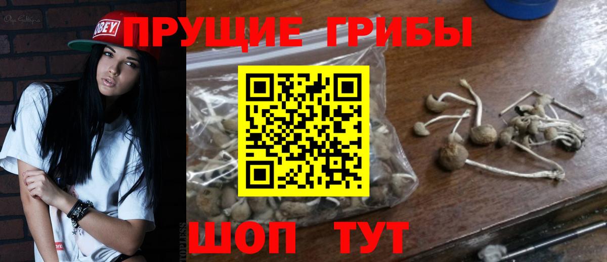 хочу   Вход с VPN  Мичуринск  Галлюциногенные грибы MAGIC MUSHROOMS 